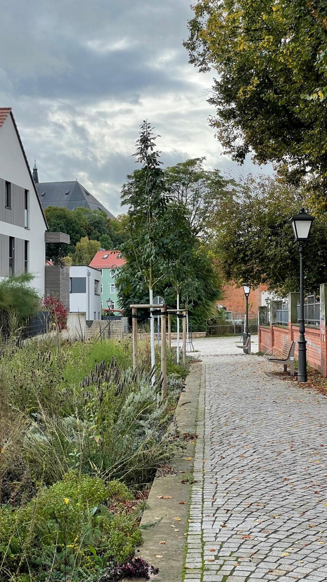 Neu! Oasis - Fewo Am Harz, Hochwertig Kernsaniert, 83 Qm, Eg Нордхаузен Экстерьер фото