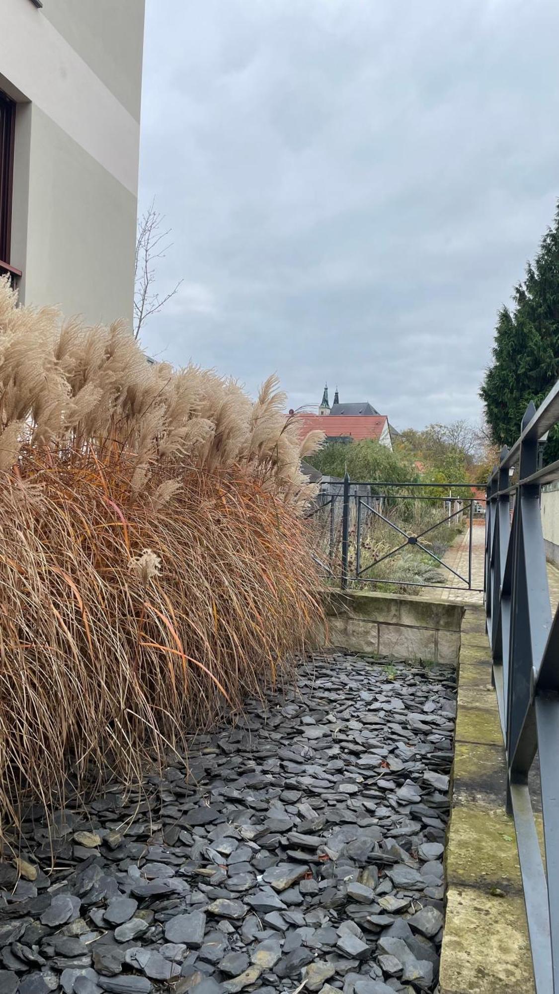 Neu! Oasis - Fewo Am Harz, Hochwertig Kernsaniert, 83 Qm, Eg Нордхаузен Экстерьер фото