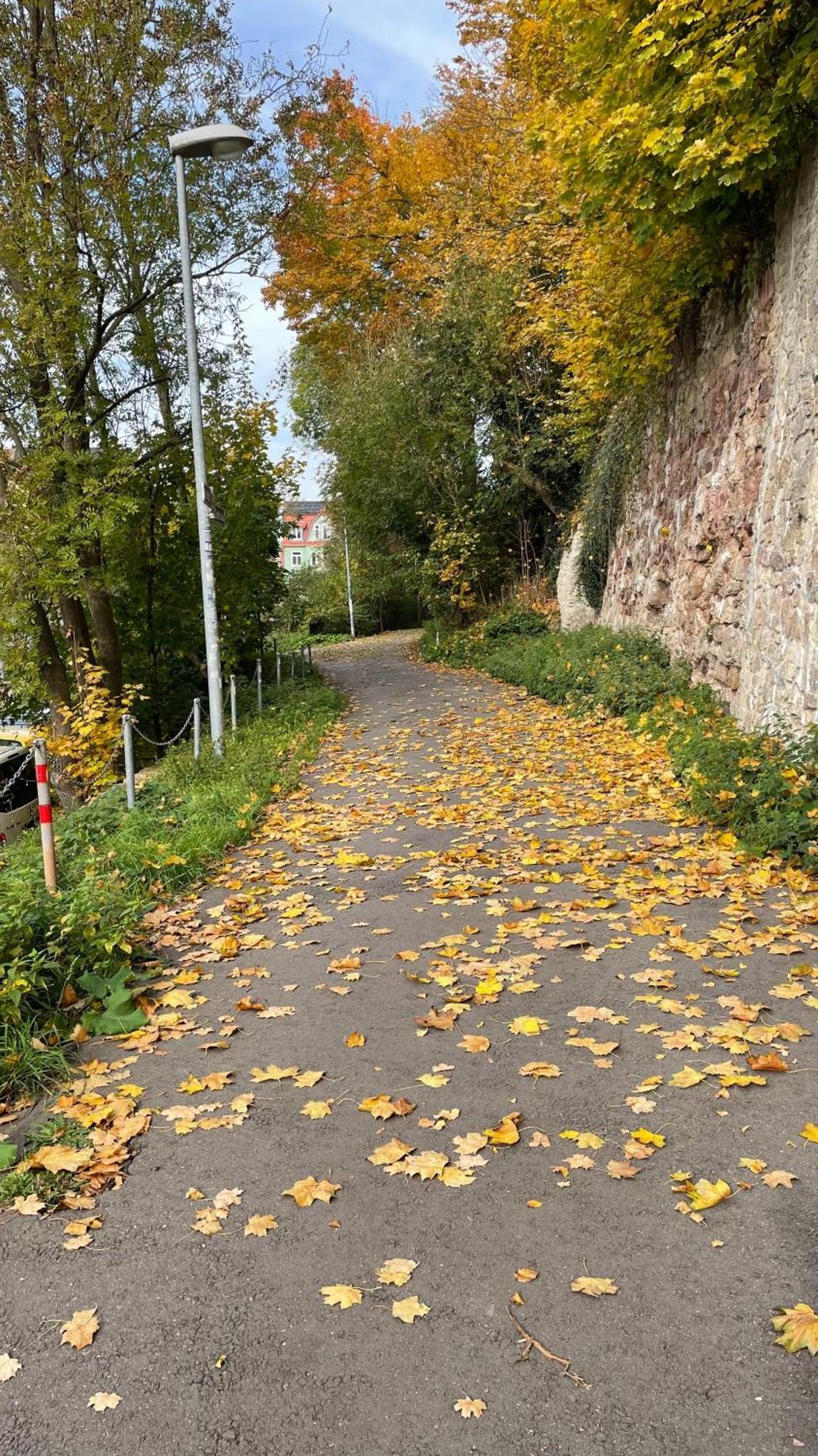 Neu! Oasis - Fewo Am Harz, Hochwertig Kernsaniert, 83 Qm, Eg Нордхаузен Экстерьер фото